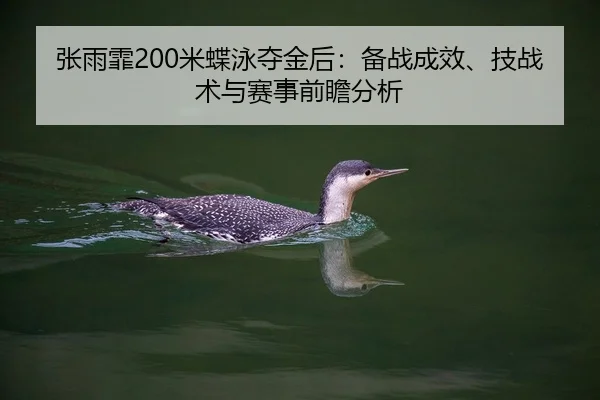 张雨霏200米蝶泳夺金后：备战成效、技战术与赛事前瞻分析